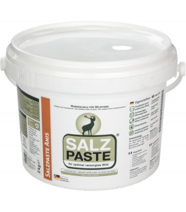 Tepama anyžių kvapo druska SALZ PASTE