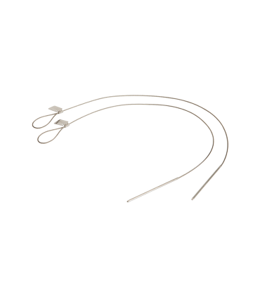 Lankstūs iešmai FireWire