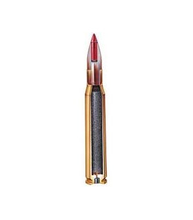 Hornady 204 Ruger NTX