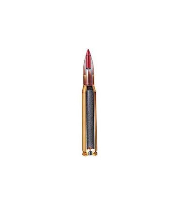 Hornady 204 Ruger NTX
