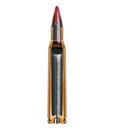 Hornady 204 Ruger SP