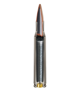 Hornady 223 Rem SP