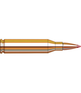 Hornady 243Win V-MAX