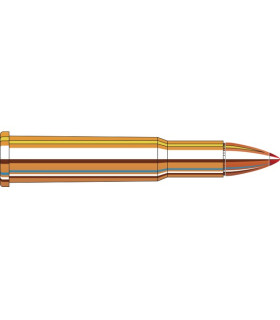 Hornady 30 - 30 Win FTX