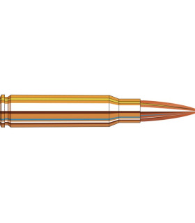 Hornady 308Win BTHP