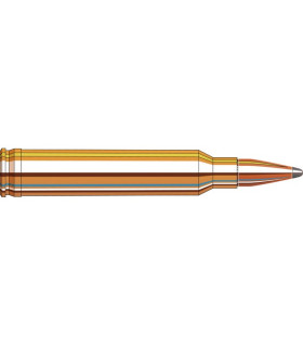Hornady 300Win Mag BTSP
