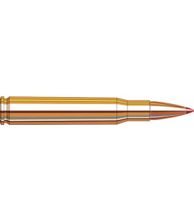 Hornady 30-06 SST