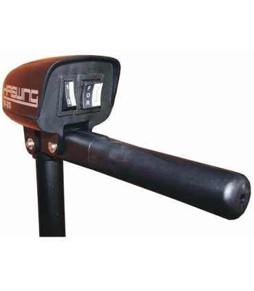 Haswing W-20 variklis