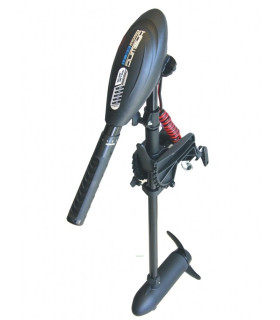 Haswing Osapian 30 variklis