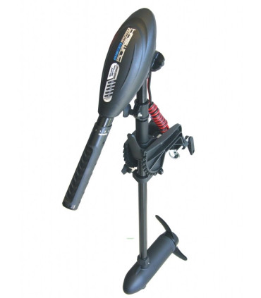 Haswing Osapian 40 variklis