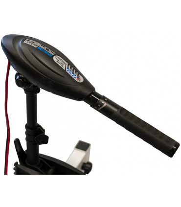 Haswing Osapian 55 variklis