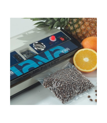 V.300 vakumavimo aparatas