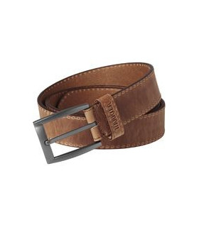 Deep brown odinis dirzas