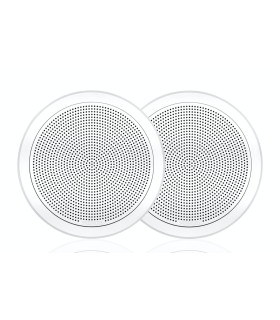 FM Series 6.5" 120 Watt Flush Mount Marine Garsiakalbiai