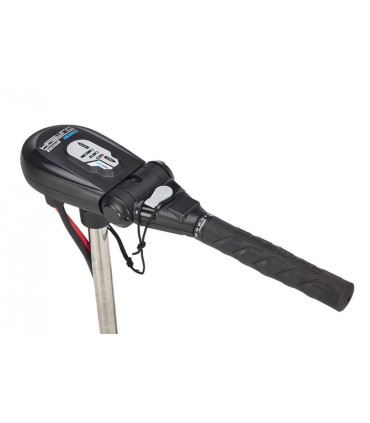 Haswing Protruar 5.0 AG variklis 24V