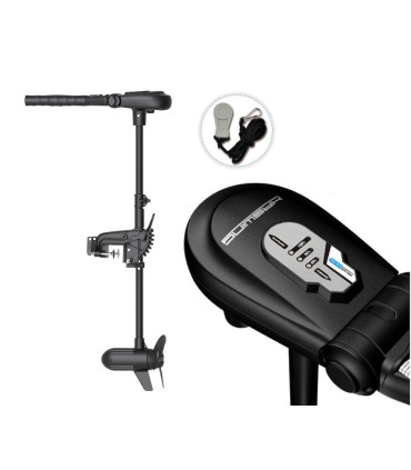 Haswing Protruar 5.0 AG variklis 24V