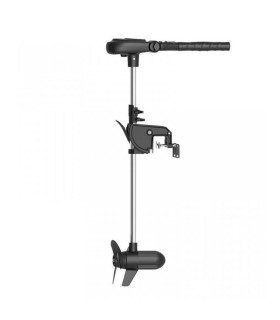 Haswing Protruar 3.0 AG variklis 24V