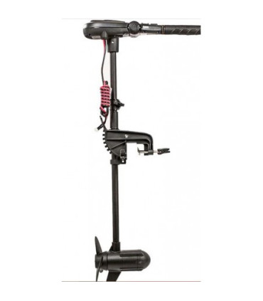 Haswing Protruar 1 AG variklis