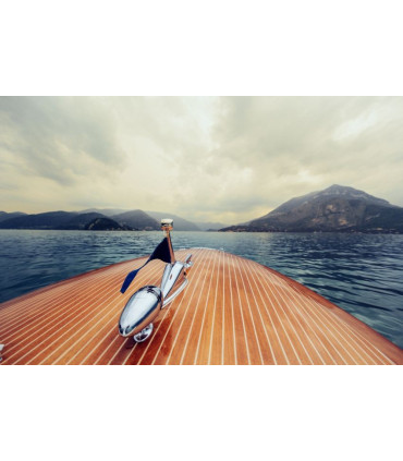 Nautic Clean TEAK CLEANER 17   tikmedžio valiklis.