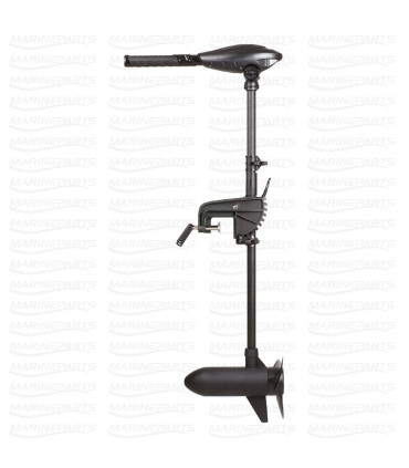 Variklis Haswing PULSAR Protruar 1.5 - 12V 55lbs