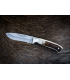 Peilis Sauer Hunting Knife Stag