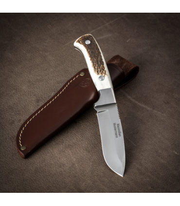 Peilis Sauer Hunting Knife Stag
