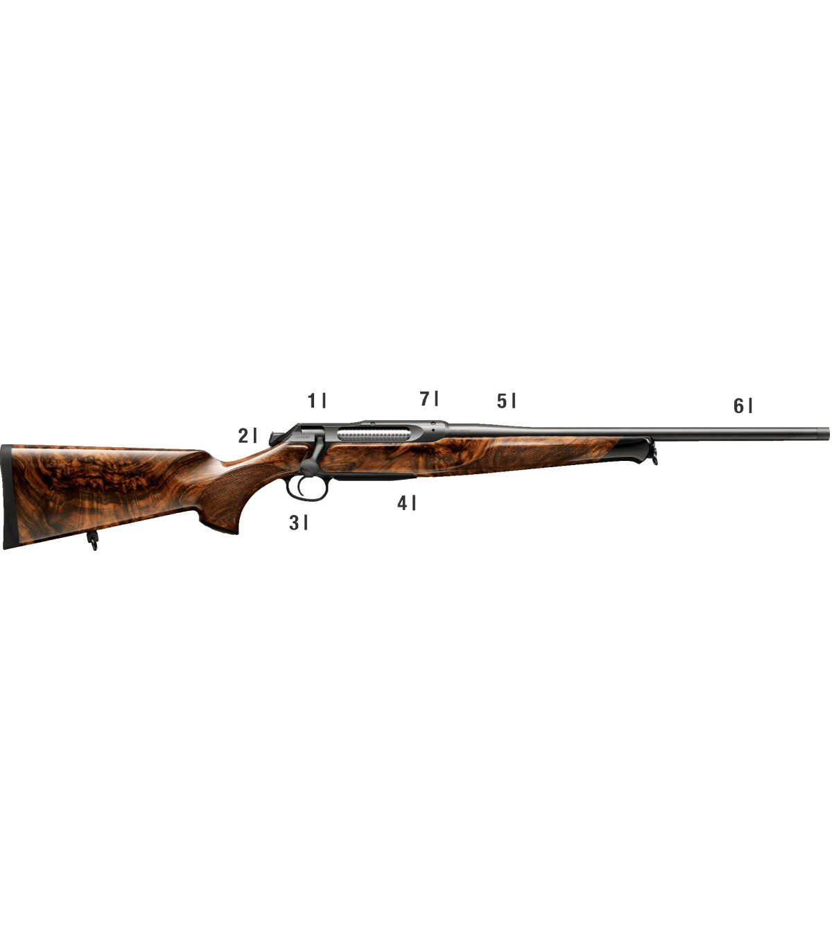 Sauer 505 ErgoLUX wc5