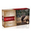 Šovinys NORMA CTG .308 WIN TIPSTR SILE 11.0G/170GR