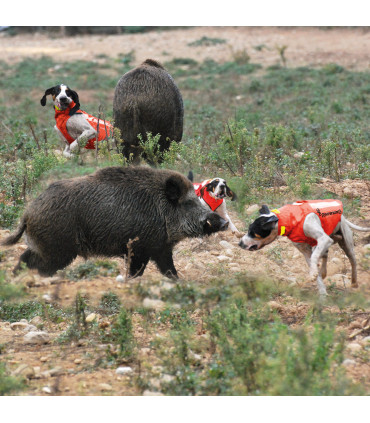 Šunų saugos liemenė BROWNING Protect Hunter 8 sluoksnių