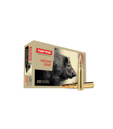 Šovinys NORMA CTG .308 WIN 180GR PPDC